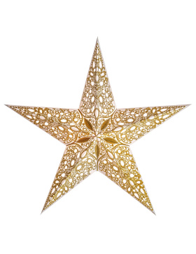 starlightz - raja gold