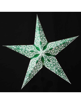 starlightz - raja green